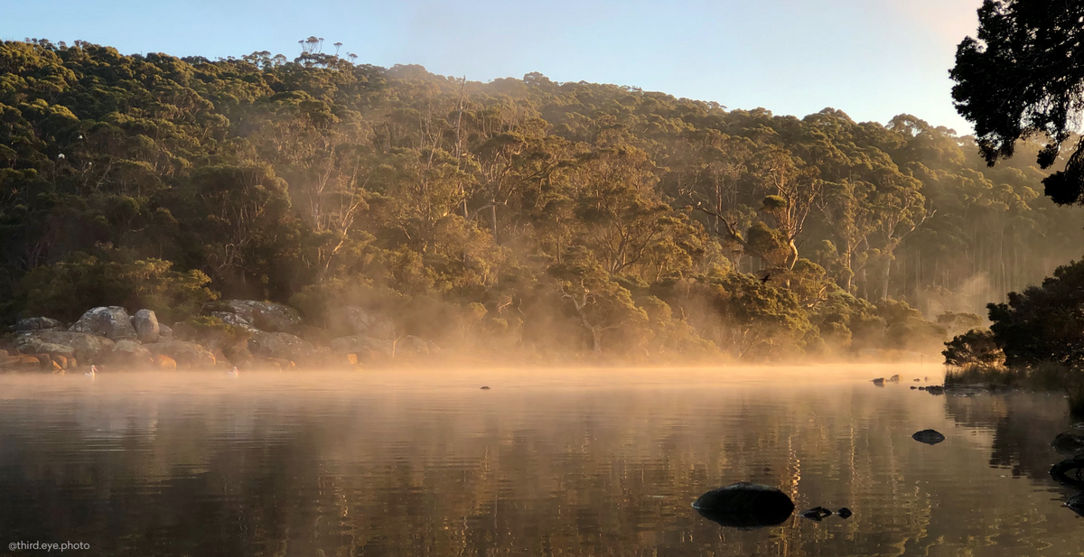 Mist rising off the Frankland River at dawn, Great Southern, Western Australia