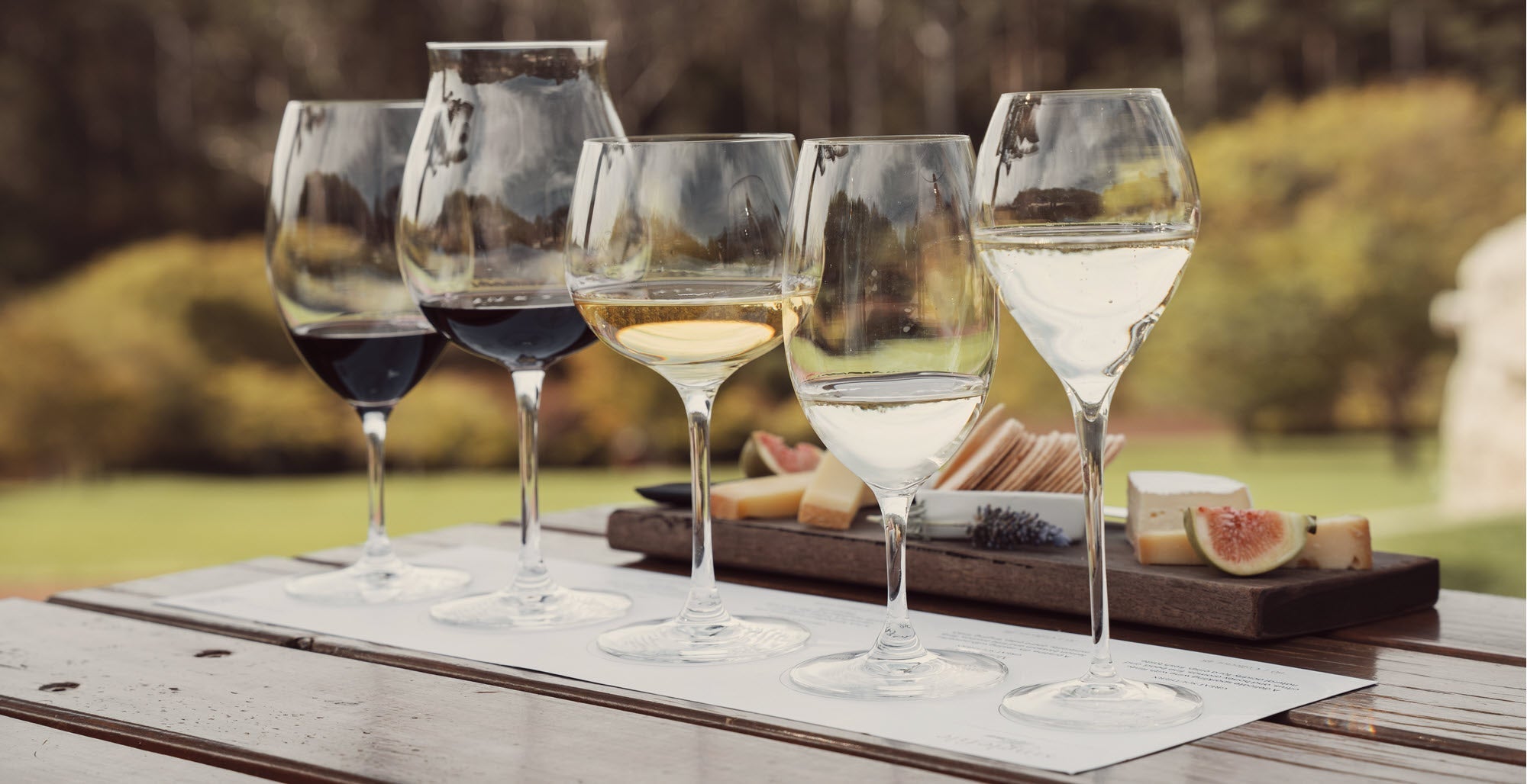 A lineup of different shaped wine glasses