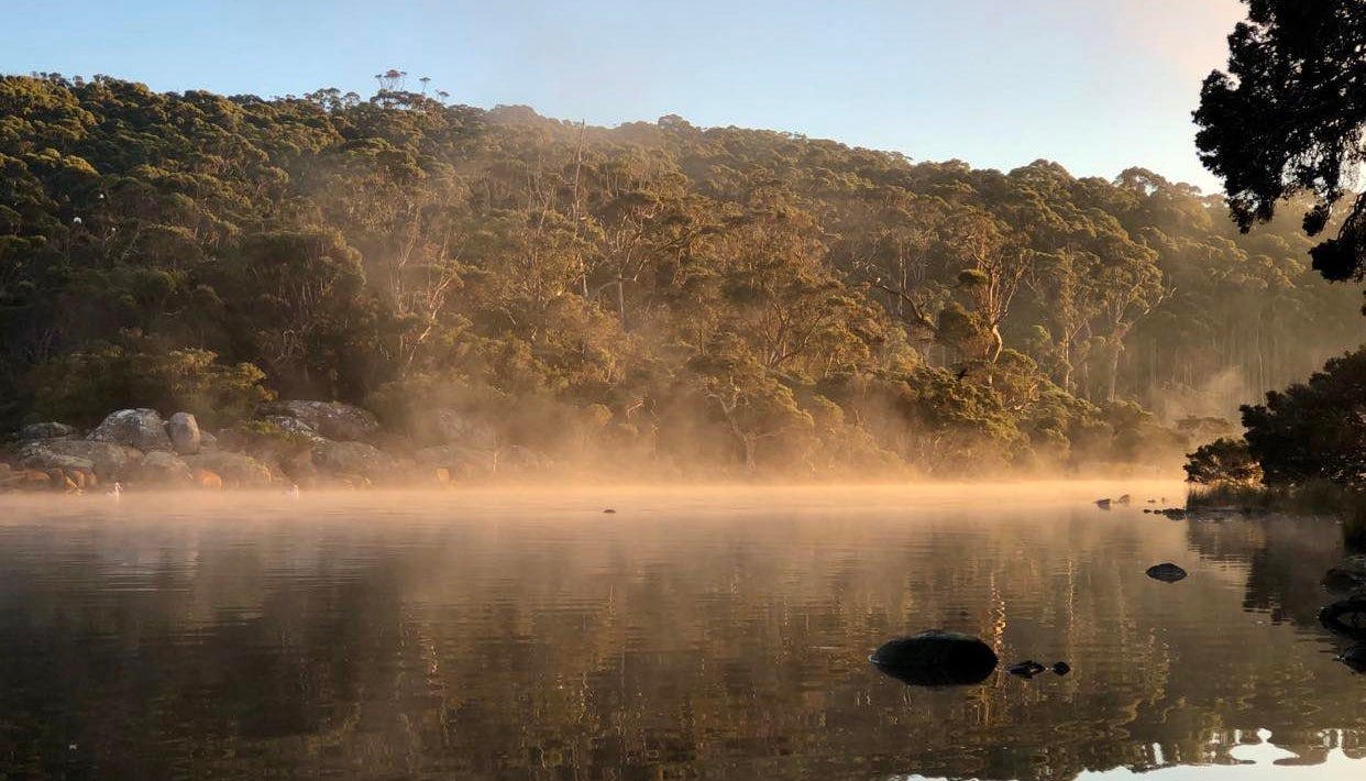 Misty lake surrounded by trees with a serene atmosphere