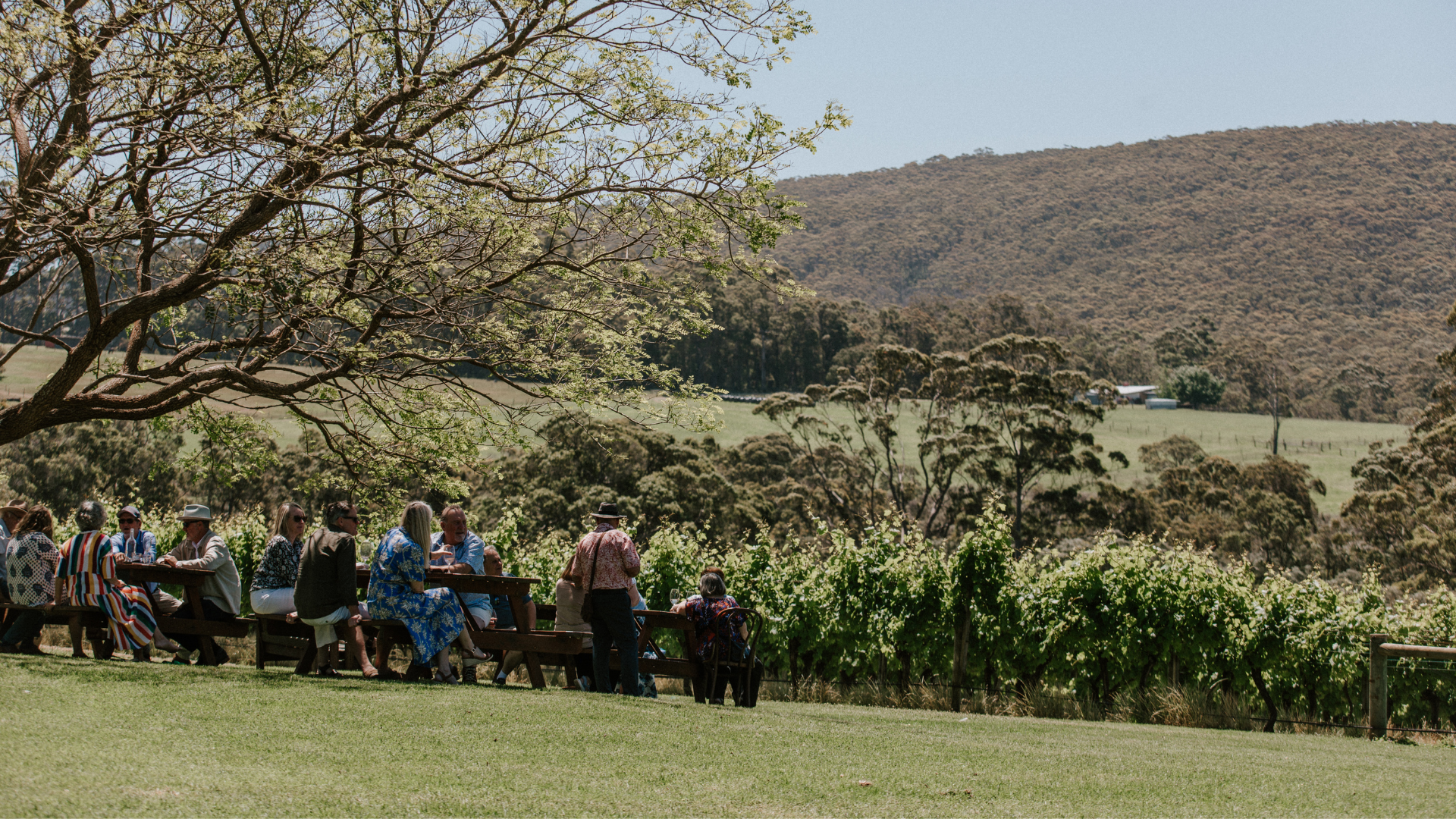 Group of people sitting outdoors on a grassy area with trees and mountains in the background