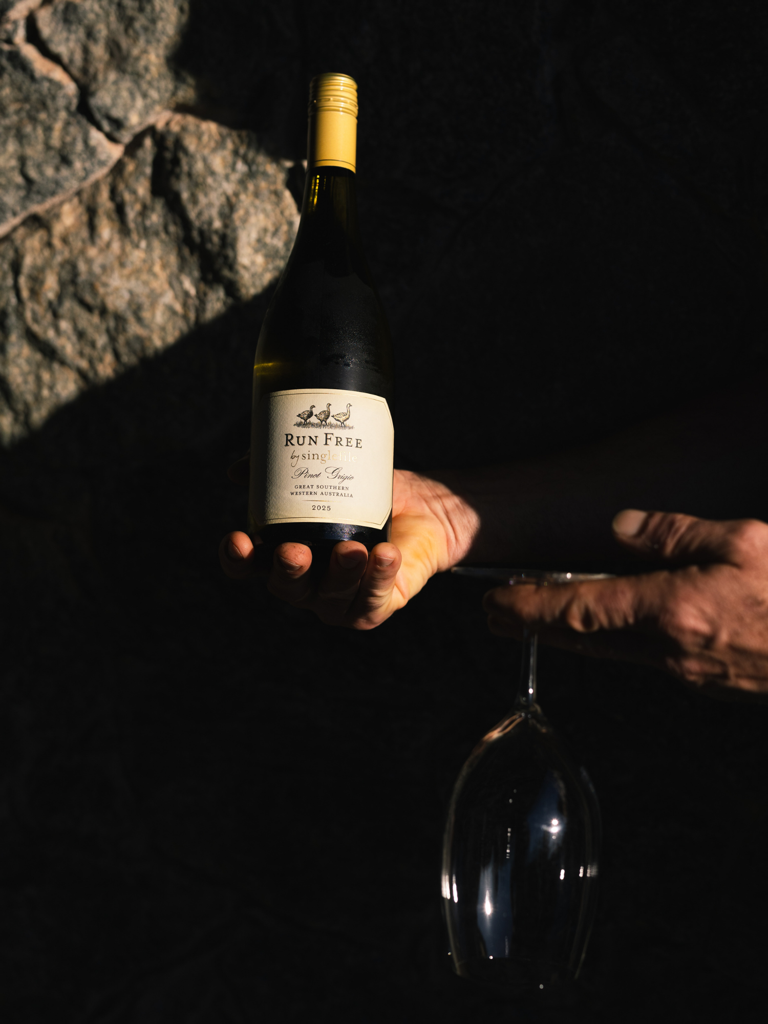 2025 Run Free by Singlefile Pinot Grigio