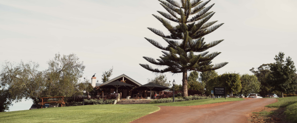 Lodge with a large tree in front on a clear day