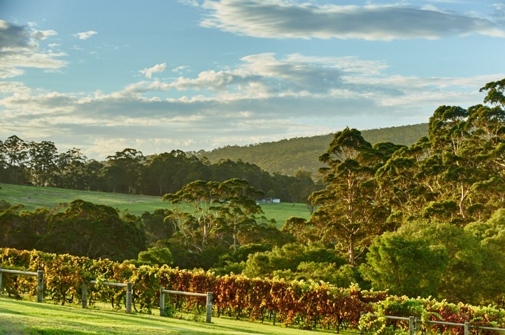 Terroir of the Greath Southern Region