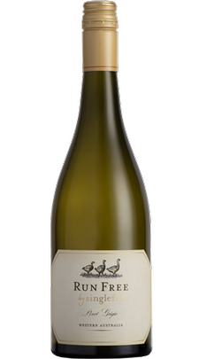 2023 Run Free by Singlefile Pinot Grigio