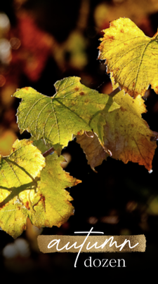 The Autumn Dozen