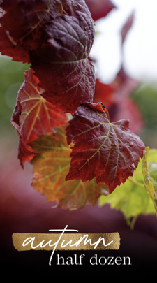 The Autumn Half Dozen
