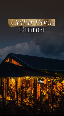 Singlefile's 2025 Cellar Door Dinner
