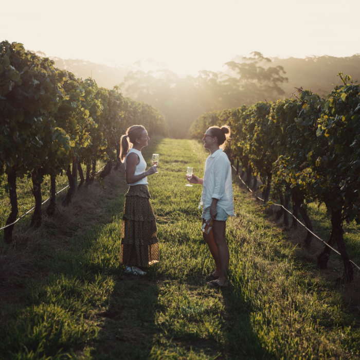 Two people standing in a vineyard at sunset