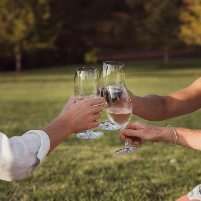 Two people clinking wine glasses outdoors on a grassy field