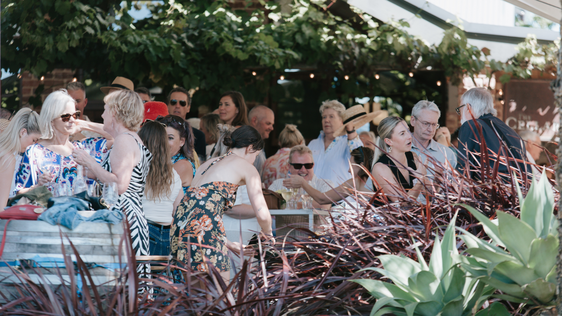 People sitting outdoors at a social gathering with plants in the foreground