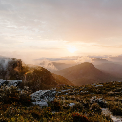 Looking over a dam with geese