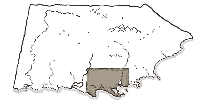 Albany Map