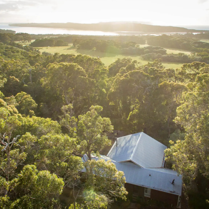 Aerial view of a house nestled among trees with a lake in the background