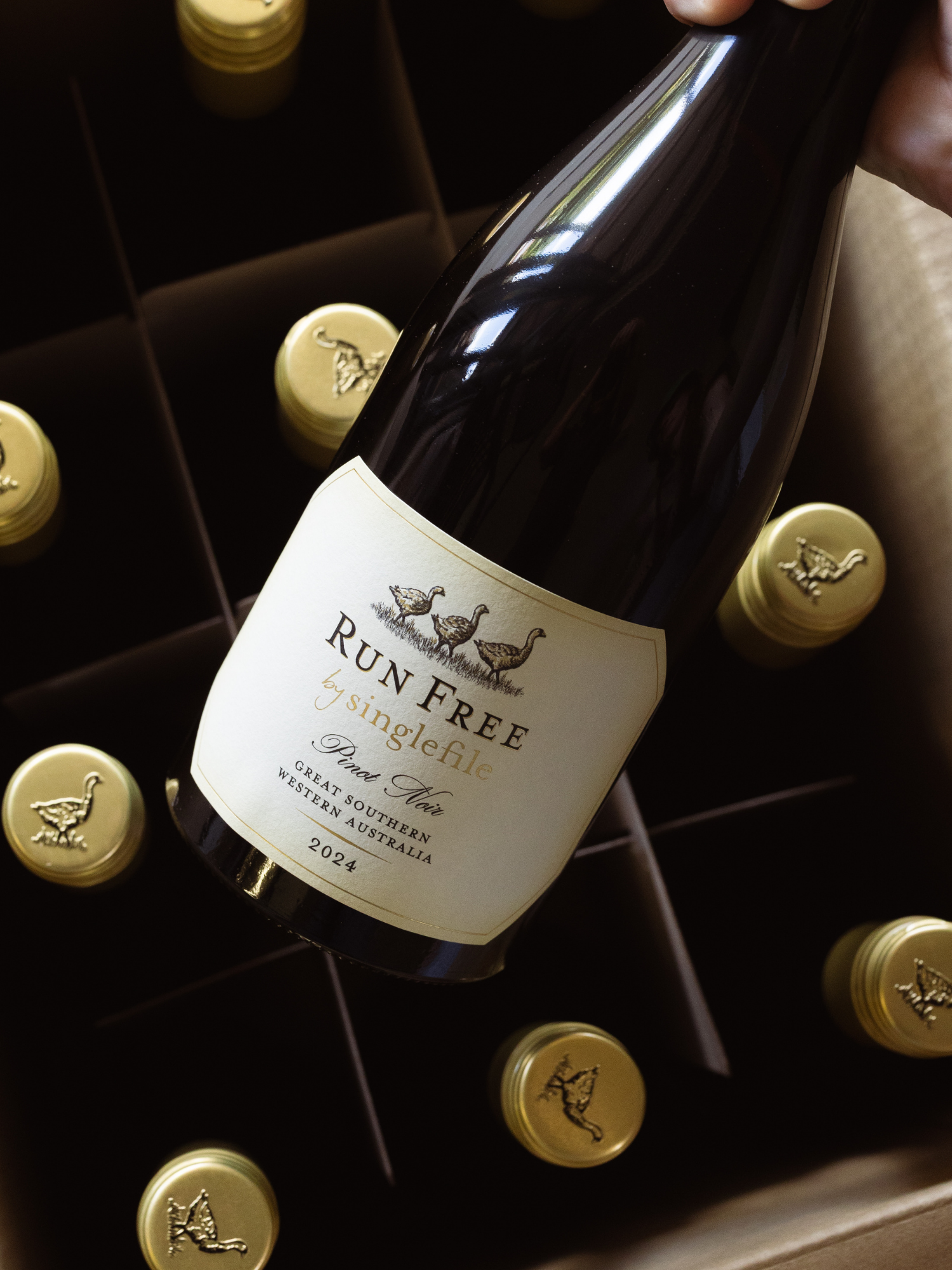 2024 Run Free by Singlefile Pinot Noir