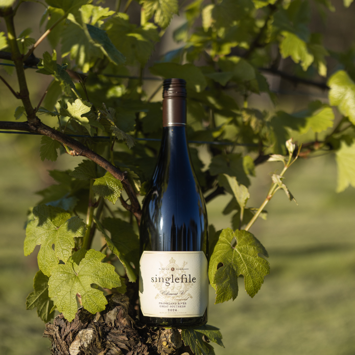 Bottle of wine balanced on a grape vine