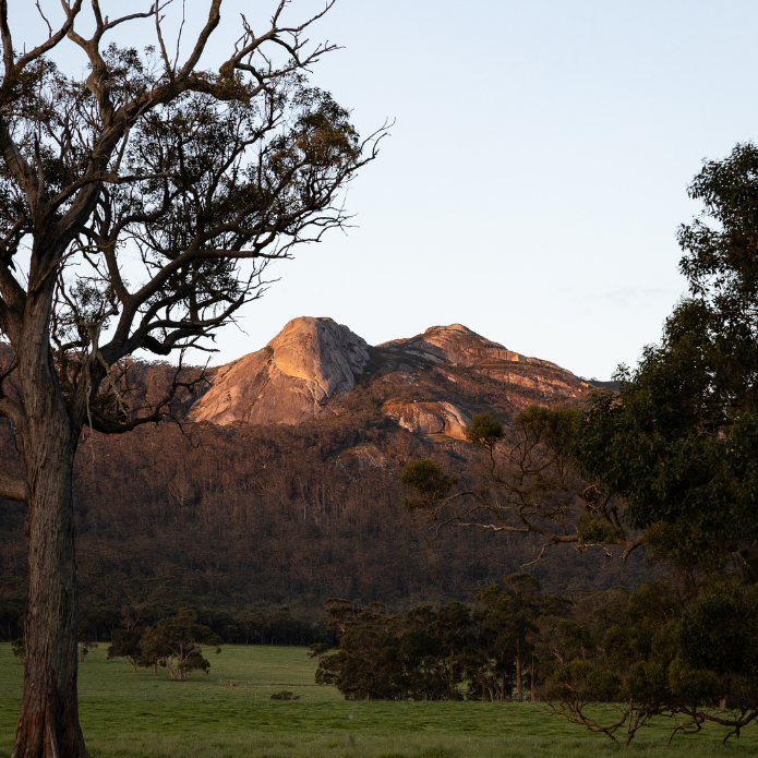 Scenic view of a mountain range with trees in the foreground