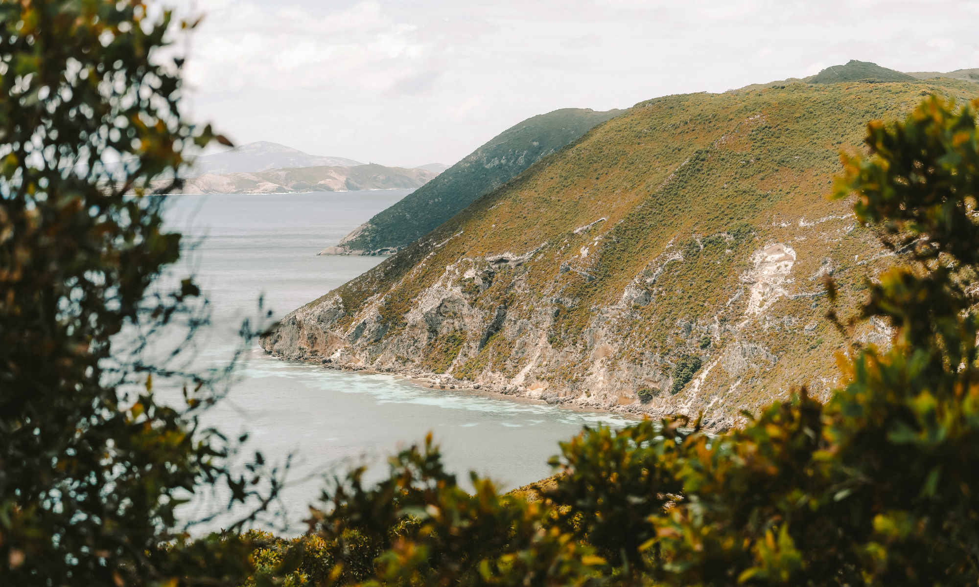 Scenic view of a lake surrounded by green hills and trees