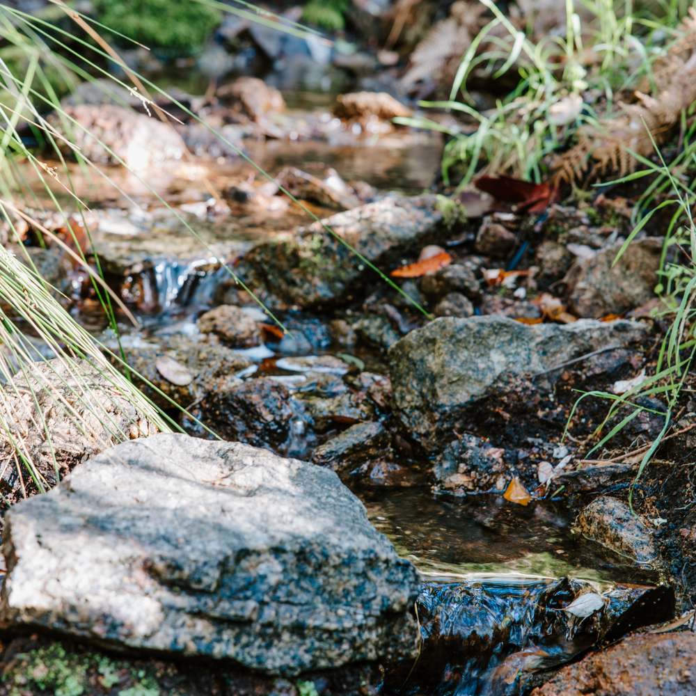 Stream with rocks and water flowing through a natural setting