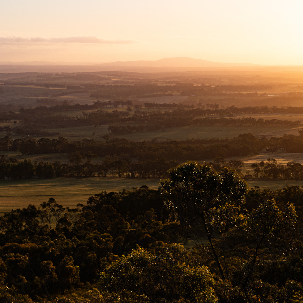 Sunset over a landscape with trees and fields