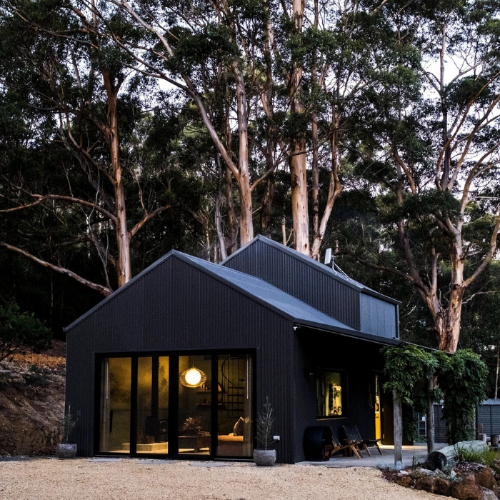 Modern black house nestled among tall trees at night